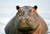 Fundraiser icon
