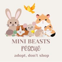 Mini Beasts Rescue