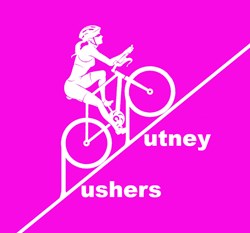 Team logo