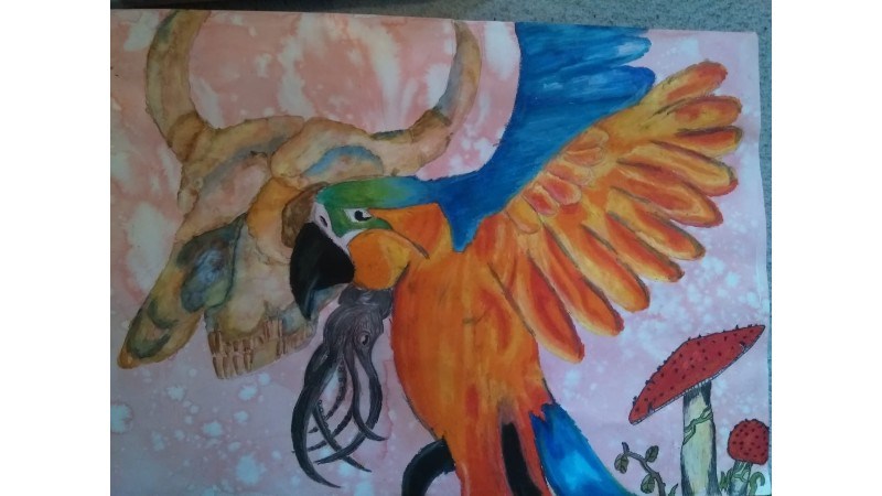 cover photo