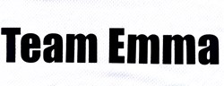 Team logo