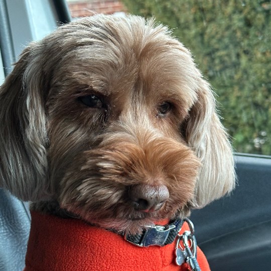 Paul's fundraising page