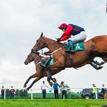 Grafton Point to Point 2021