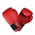 Fundraiser icon