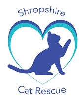 Shropshire Cat Rescue