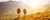 Fundraiser icon