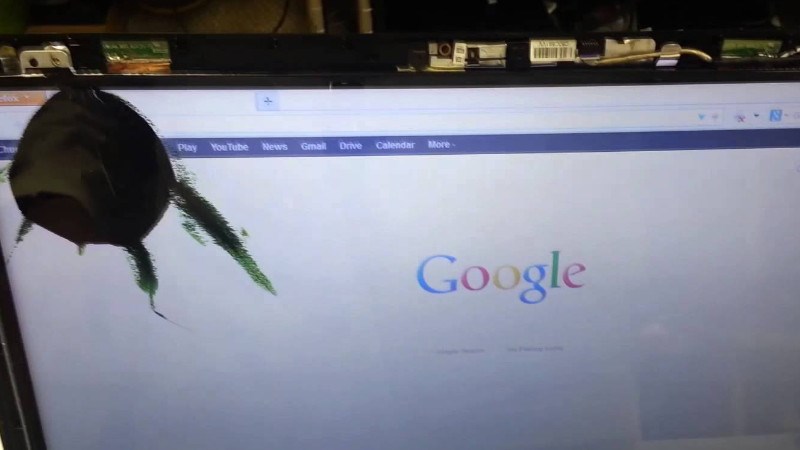 cover photo