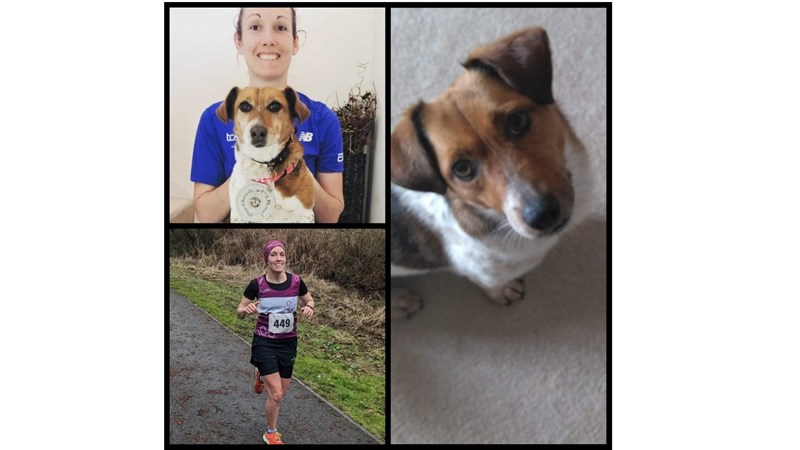 Hope Rescue Cardiff Sophie Williams is fundraising for Hope Rescue