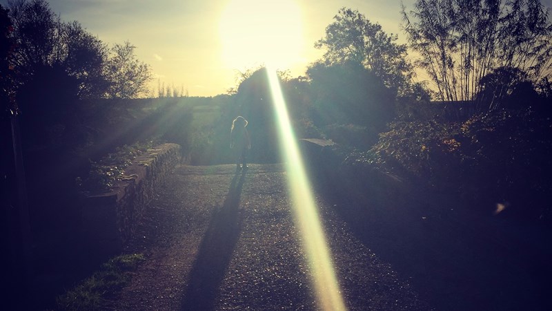 cover photo