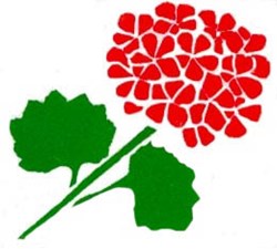 Team logo