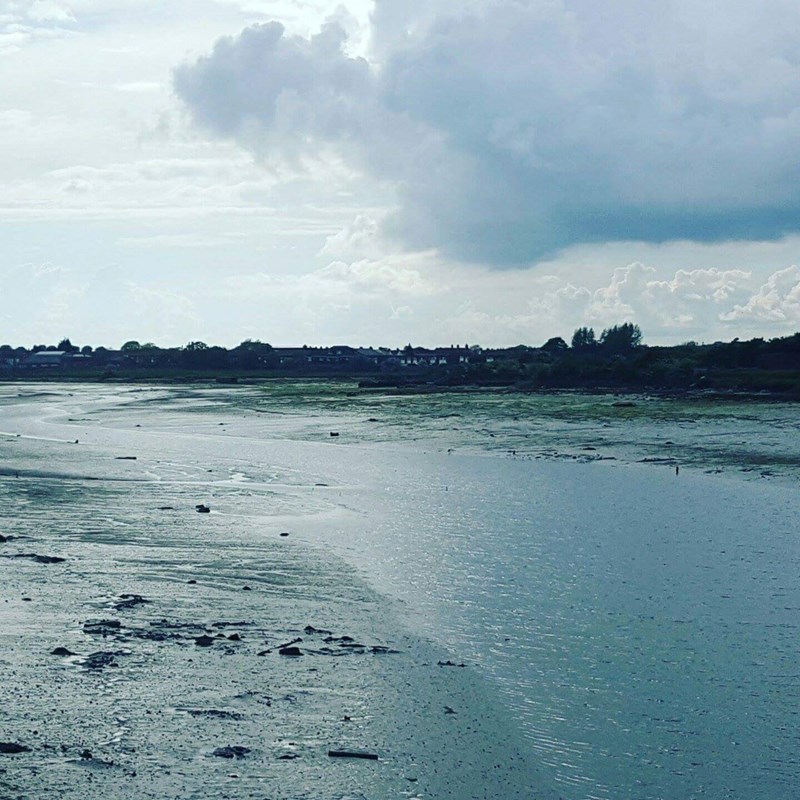 cover photo
