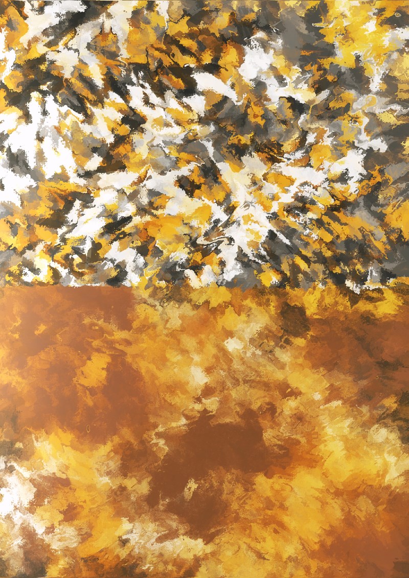 cover photo
