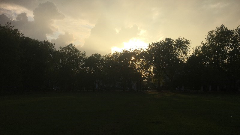 cover photo