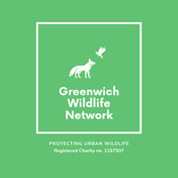 Greenwich Wildlife Network