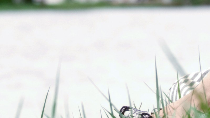 cover photo