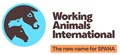 Working Animals International