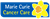 Fundraiser icon