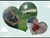 Fundraiser icon