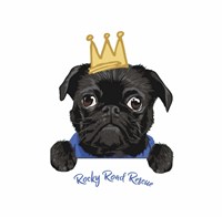 Rocky Road Rescue UK