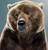 Fundraiser icon