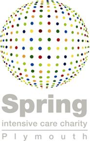 Spring Intensive Care