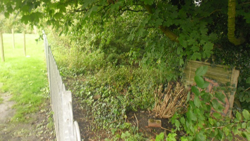 cover photo