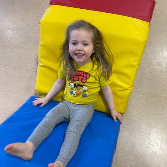 Lyra's fundraising page