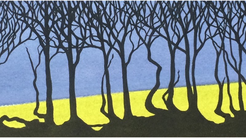 cover photo