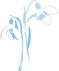 Princess Royal Maternity Baby Fund