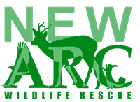 New Arc Wildlife Rescue
