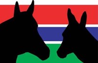 The Gambia Horse And Donkey Trust