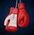 Fundraiser icon
