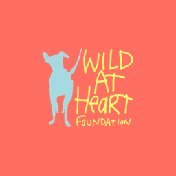 the wild at heart achievement