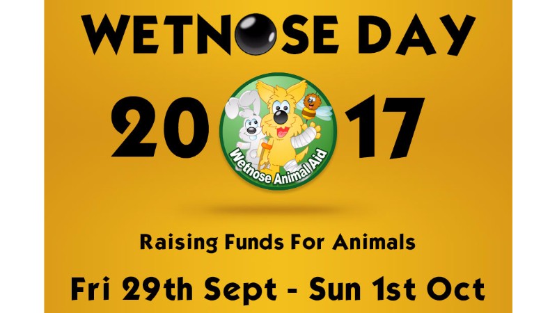 Crowdfunding to help animal rescue centres in UK by paying off vets ...