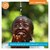 Fundraiser icon