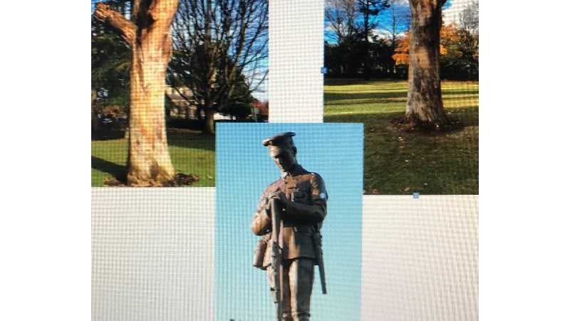 cover photo