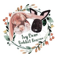 Ivy Dene Rabbit Rescue