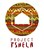 Fundraiser icon