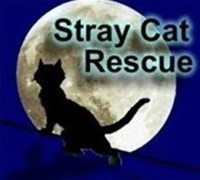 Stray Cat Rescue