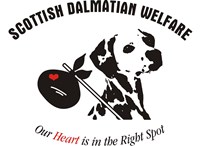 Scottish Dalmatian Welfare