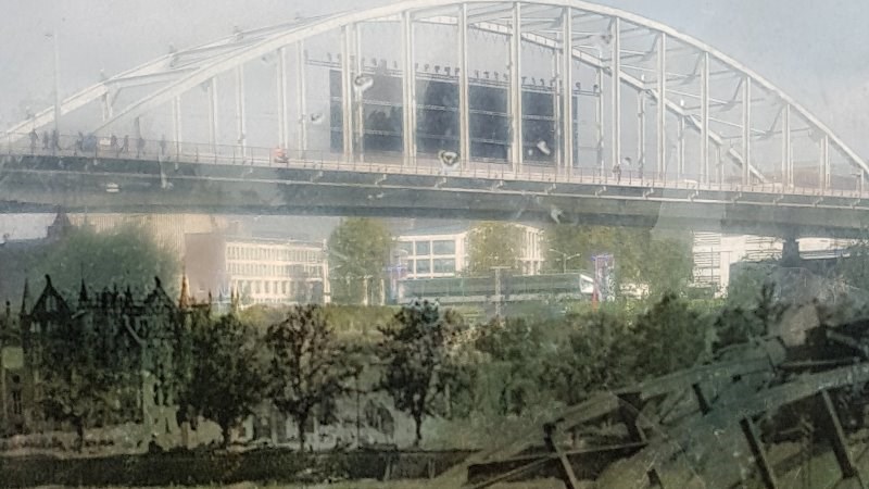 cover photo