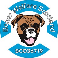Boxer Welfare Scotland