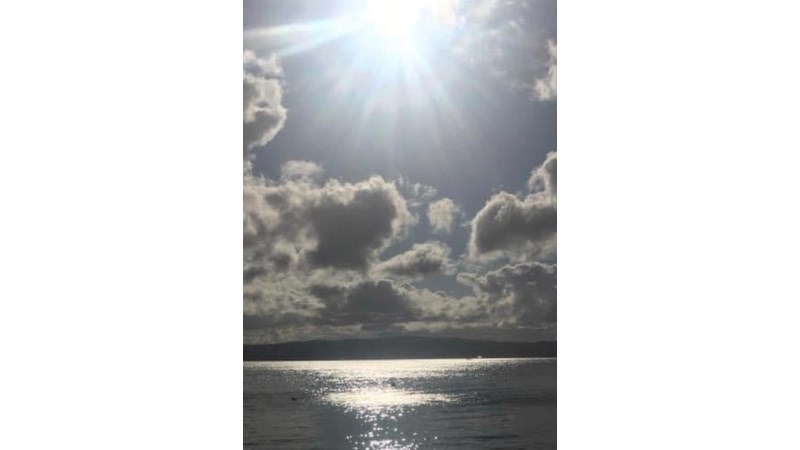 cover photo