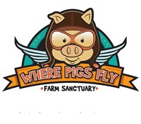 Where Pigs Fly Farm Sanctuary