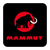 Fundraiser icon