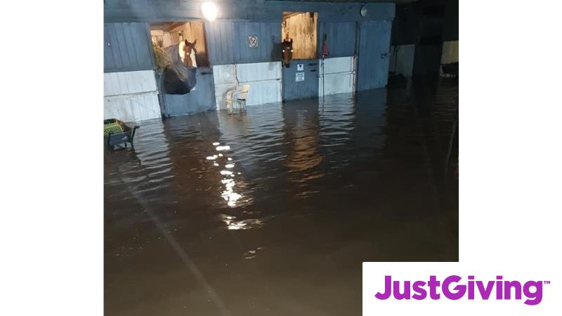 Crowdfunding to Emergency flood fund for Meadowgate Stables and Farm ...