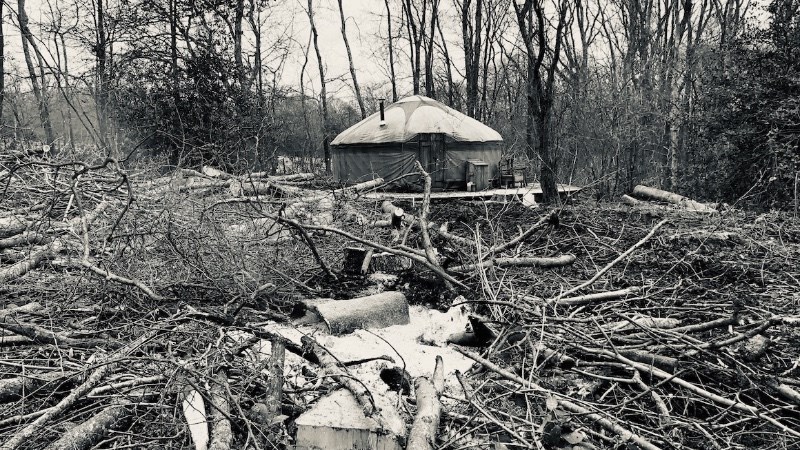 cover photo