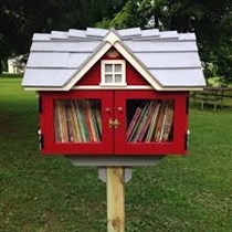 Crowdfunding to Help fund a Little Free Library