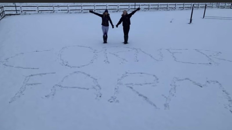 cover photo