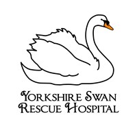 Yorkshire Swan Rescue Hospital